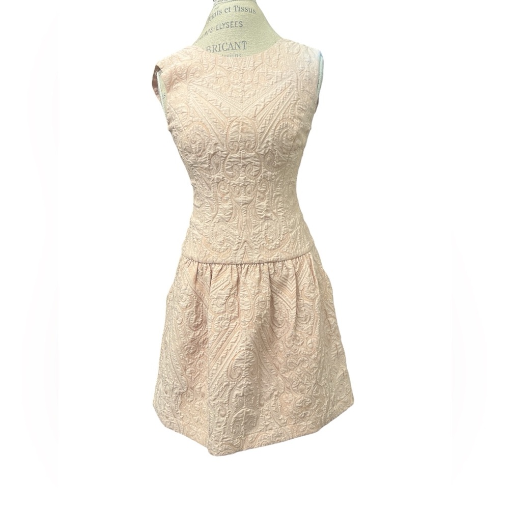 BCBGMaxAzria Blush Textured Mini Dress